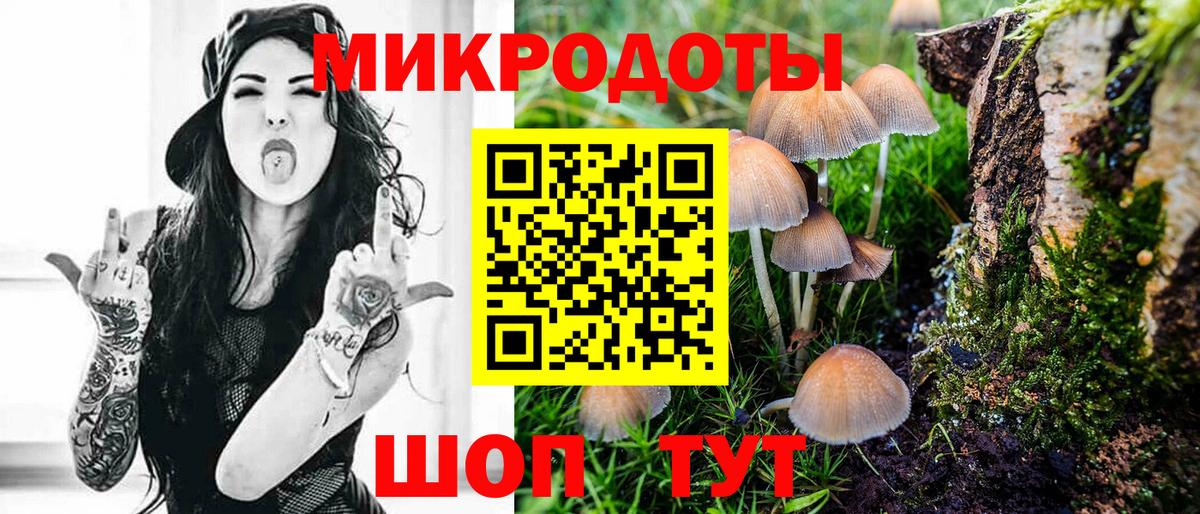 Псилоцибиновые грибы Cubensis Чебоксары