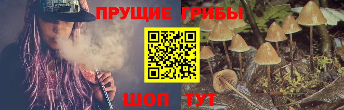 Псилоцибиновые грибы Psilocybe  Псилоцибиновые грибы мухоморы  Чебоксары  Вход с VPN 